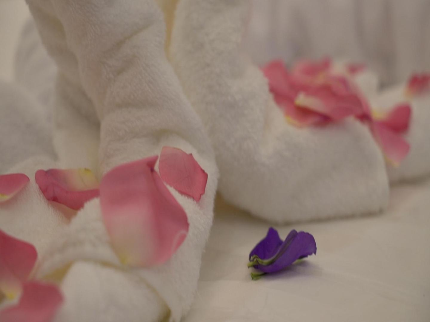 Violet Rose Aprit Hotel Cidde Dış mekan fotoğraf
